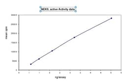 Eurofins DiscoverX NEK9 Protein, Active 250 &mu;g | Buy Online | Eurofins DiscoverX | Fisher Scientific